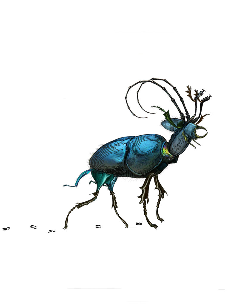 Mini cerf scarabé